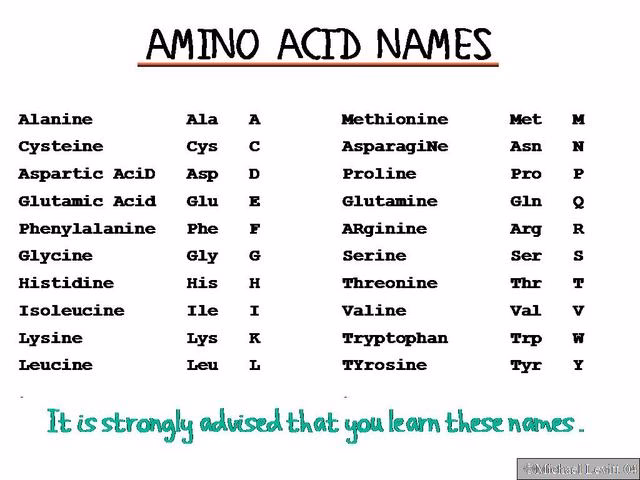 What is the full name of amino acid?