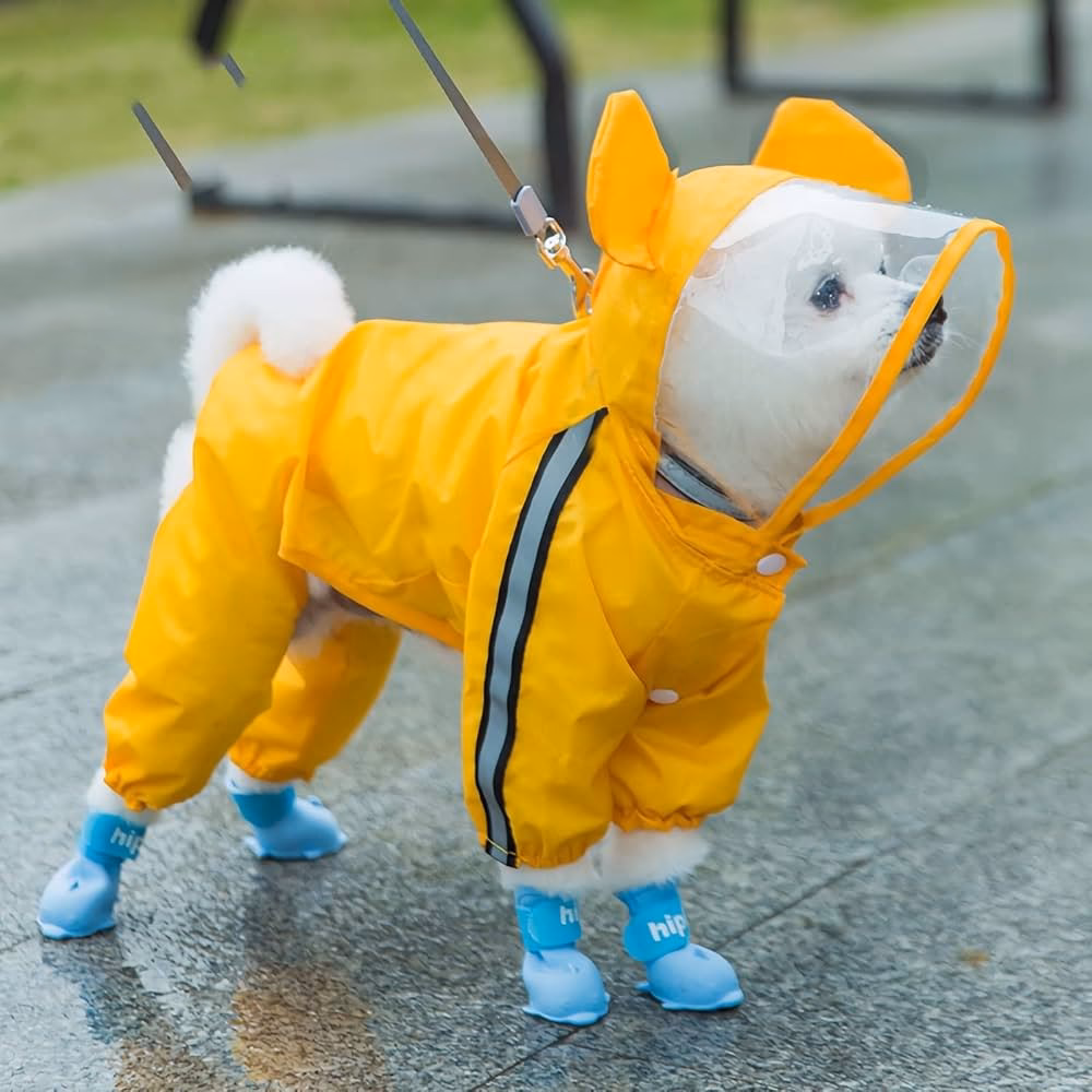 Do dogs wear raincoats?