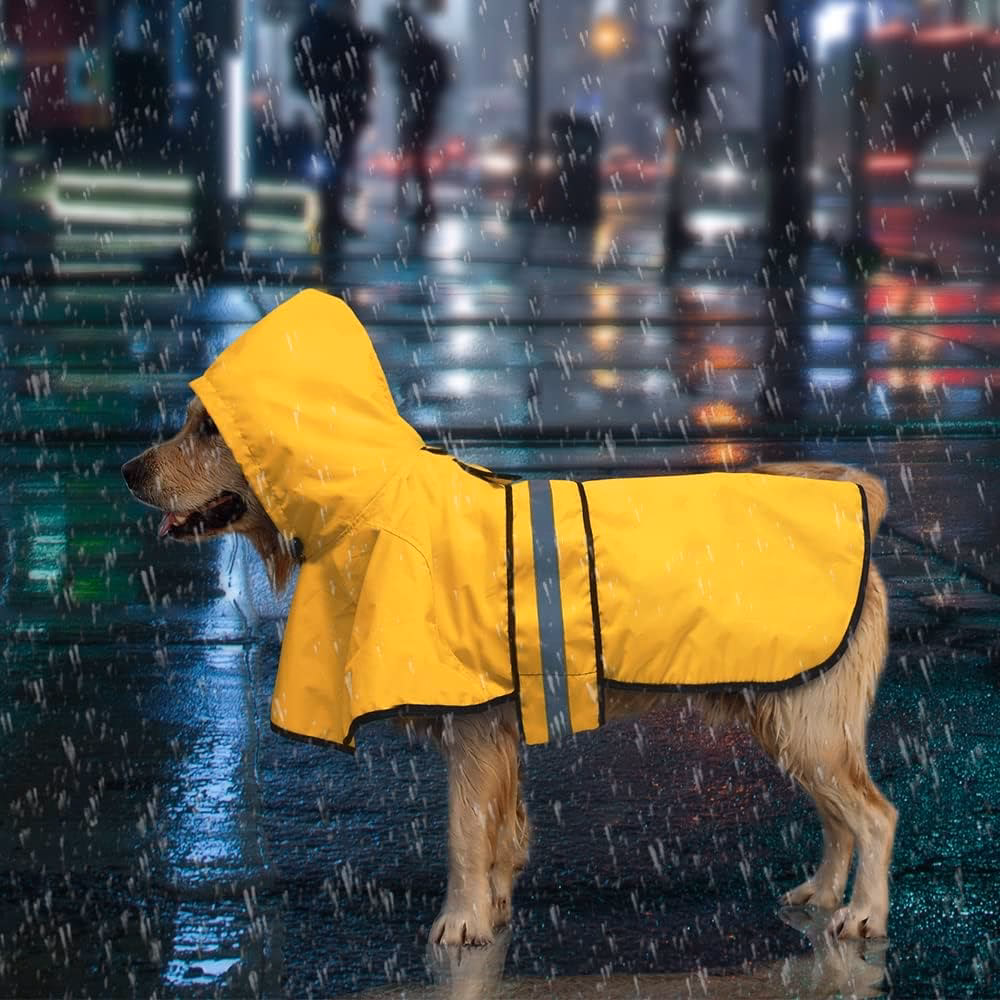 Do dogs need a rain jacket?