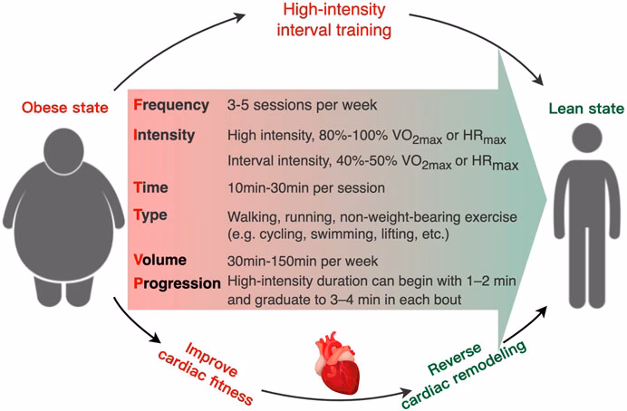 What is high-intensity interval training (HIIT)?