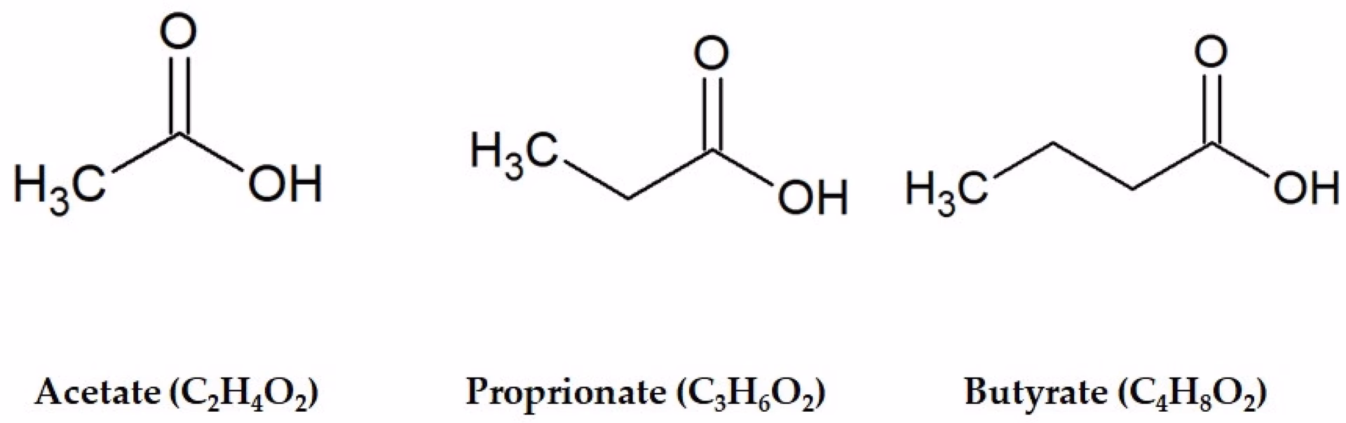 Where are short chain fatty acids found?