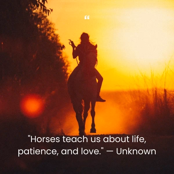 What are some funny horse riding quotes?