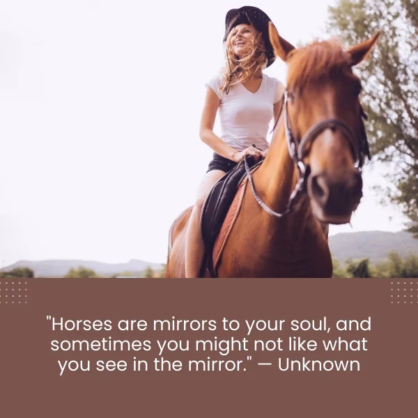 How many horse quotes are there?
