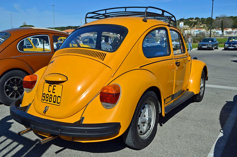 What are the best jeans beetles?