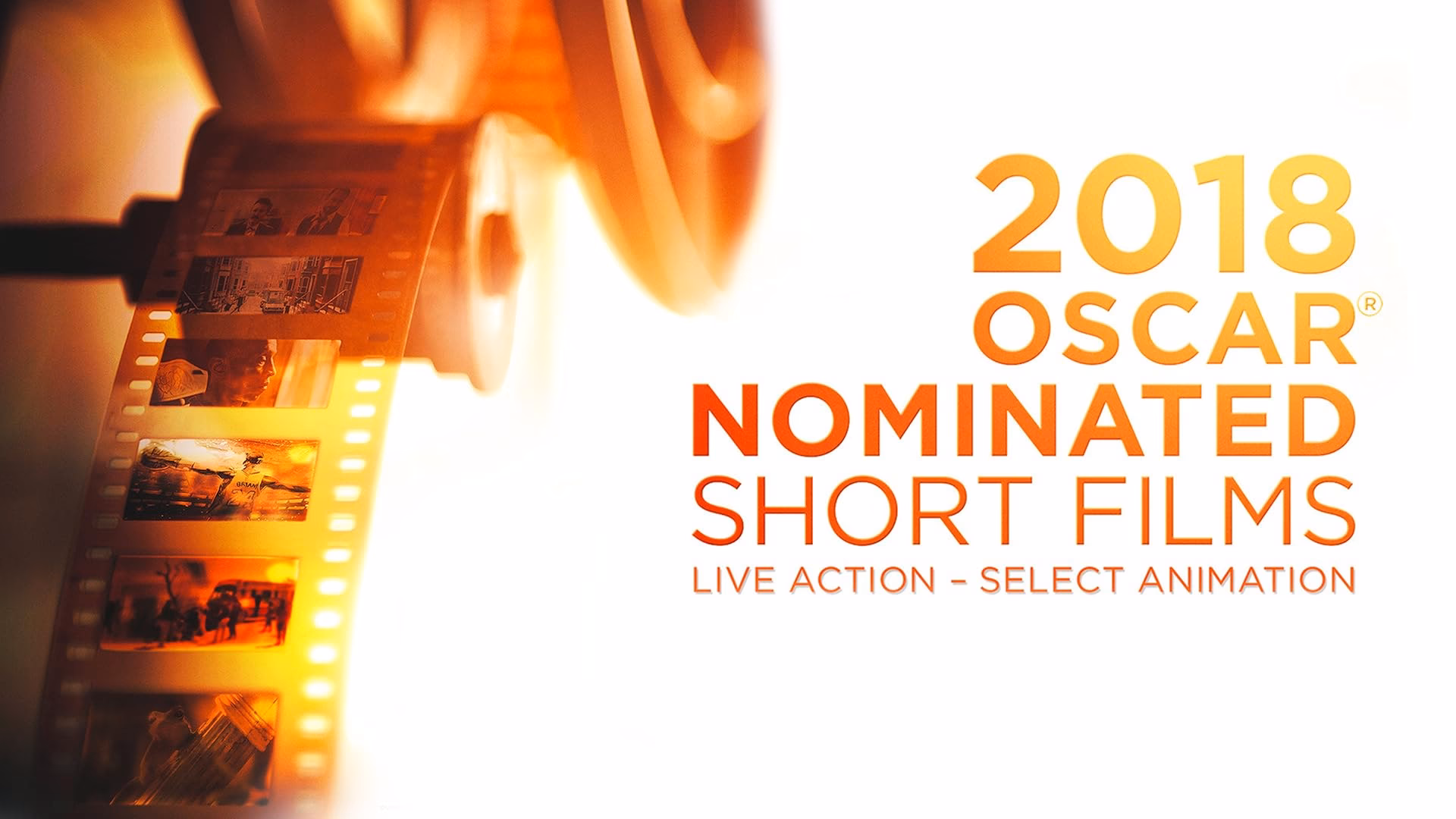 Where to watch the 2020 Oscar short film nominees?