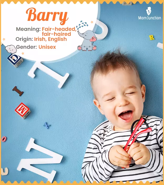 Is Barry a short name?